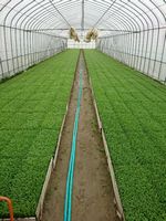 ��, �t�F���X, ���O, ���� ���܂܂�Ă���摜

�����I�ɐ������ꂽ����