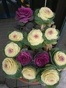 �Ԃ�����ꂽ�P�[�L

�Ⴂ���x�Ŏ����I�ɐ������ꂽ����